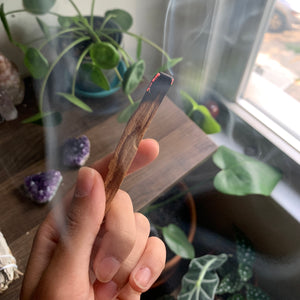 Palo Santo bundle